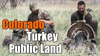 How To Hunt Turkey In COLORADO On Public Land | MIKE HUNTS |