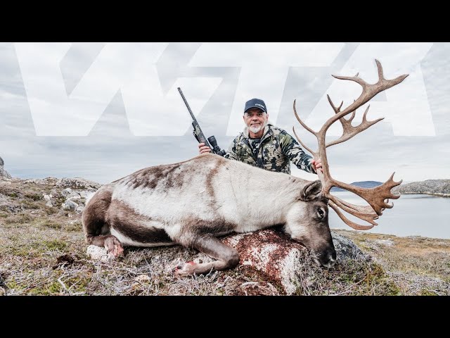 Greenland Reindeer Hunt Episode 1 | Worldwide Trophy Adventures class=