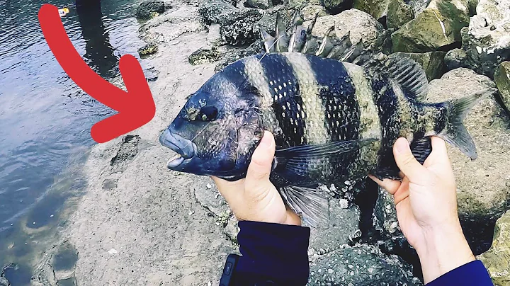 THIS is Why You Fish in Bad Weather | Double Inshore Slam!