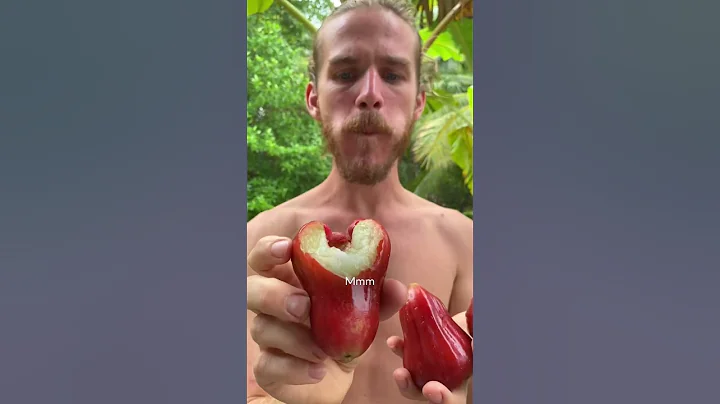 Trying Rose Apple Fruit - DayDayNews