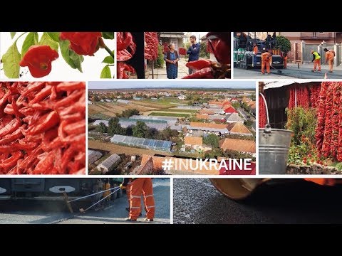 Великая Добронь: село с перцем | #ВУКРАИНЕ