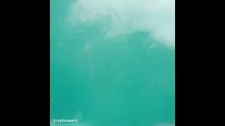 kryptonzero. & Aniel Rk - kaplanu