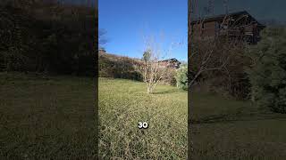 Участок в Сочи с видом на горы и своим прудом #земельныйучасток #землявсочи #участоквсочи #участки