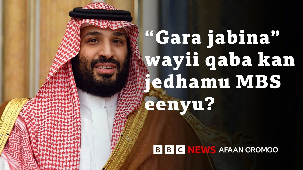 Waa'ee Ilma Mootii Sa'udi, Mohaammad Bin Salmaan (MBS), maaltu beekama?