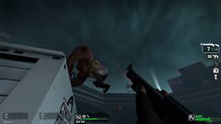 Left 4 Dead - Super Expert Brasil - Stadium Tank | #legendzer0 on #Twitch