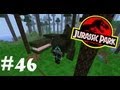 Обзор Мода Minecraft Динозавры! Парк Юрского Периода! (LotsOMobs) № 46