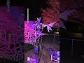 Halloween Decorations 2023!