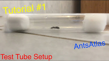 Test Tube Setup!: Tutorial #1
