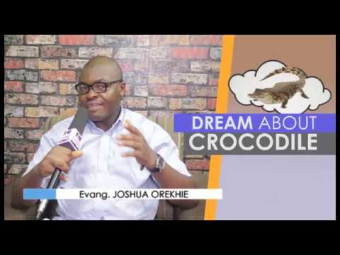 Video: What can a crocodile dream about in a dream for a woman