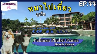 EP.77 - หมาไปเที่ยว | รีวิวโรงแรม Pullman Phuket Panwa Beach Resort พาหมาไปภูเก็ตพักที่นี่ดีจริง!!