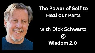 The Power of Self to Heal Our Parts | Richard Schwartz, Soren Gordhamer | Wisdom 2.0 2017