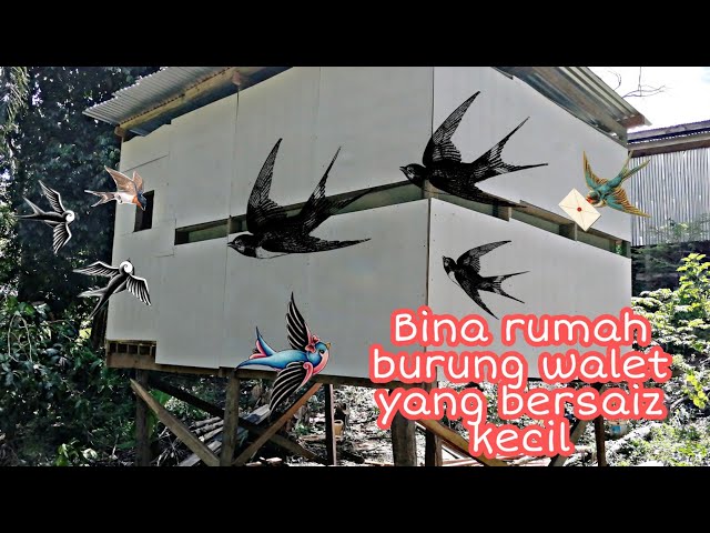 #burungwalet #Borneosabah | Bina rumah burung walet yang bersaiz kecil dengan bajet rendah class=