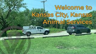 Kansas City Kansas Animal Services Tour