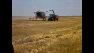 Trebbiatura grano Romania