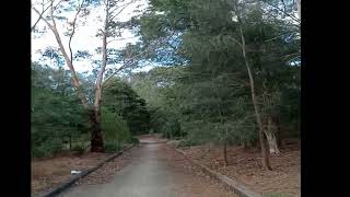 Download Lagu relaxation music Julio Iglesias MP3