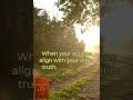 The power of aligned momentum