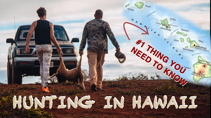 Hunting in Hawaii: #1 Thing You Need to Know