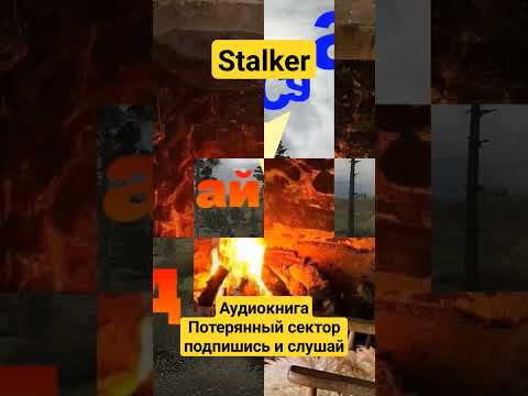 Книга "сталкер" - Потерянный сектор Александр Родин. Книга "сталкер" - Потерянный сектор Александр Родин.