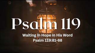 Waiting in Hope in His Word (Psalm 119:81-88) | July 26, 2026