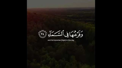 القارئ إسلام صبحي | تلاوة خاشعة من سورة إبراهيم | ارح سمعك 💚🌿🌸 حالات واتس اب دينية
