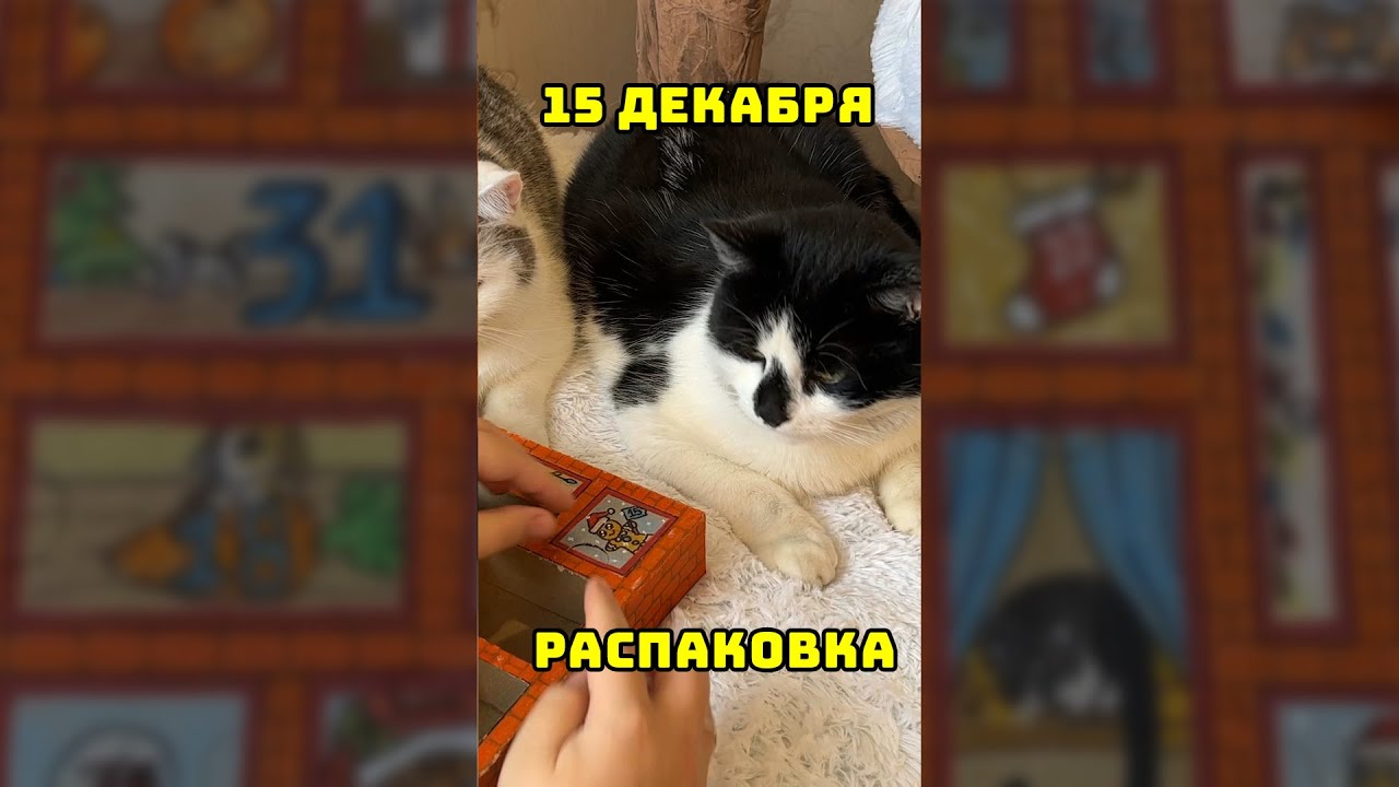 Анука Давайка Новогодние Серии Анука Давайка Новогодние Серии