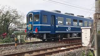 ガクトレイン　SL北びわこ号D51 200形牽引　GAKUTRAIN