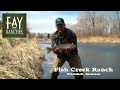 Fly Fishing on Fish Creek near Bozeman, Montana | Fay Ranches