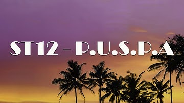 ST12 - P.U.S.P.A (Lirik Video)