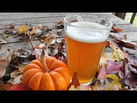my-first-home-brew-beer-~-pumpkin-ale