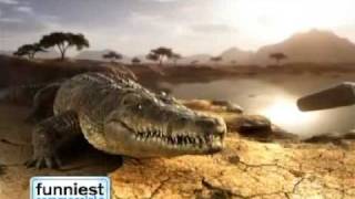 Funniest Commercials -  Cute crocodile talking!