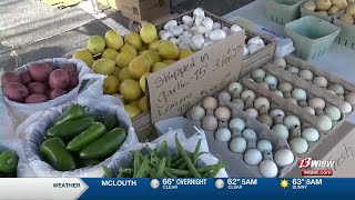 Downtown Topeka Farmers Market welcomes community to new season