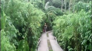 Happiness: An Introduction