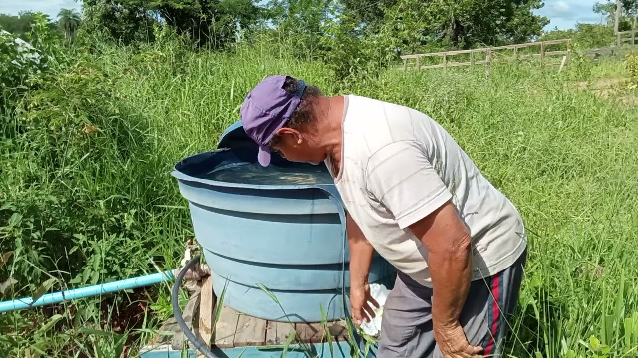 Veja como faço a minha ferte irrigação