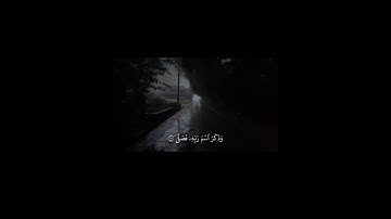 تلاوة جميلة بصوت الشيخ ماهر المعيقلي #quran #اكسبلور #المصحف #دويتو #ماهر_المعيقلي #راحة_نفسية