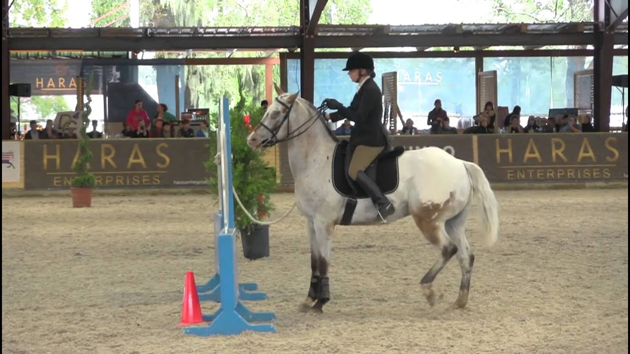 Endo and Morgan Wagner