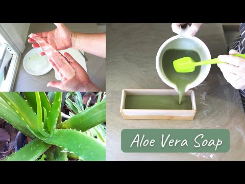 How to Make Fresh Aloe Vera Soap + Aloe Vera Facial Soap Recipe