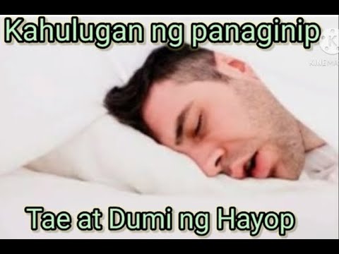 KAHULUGAN NG PANAGINIP NA TAE AT DUMI NG HAYOP