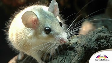 EXCEL 5 Module 7  It