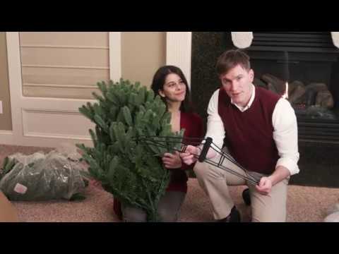 How To Set Up Your Tree