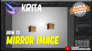 Krita How To Mirror