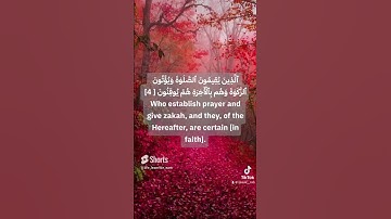 سورة لقمان💚 #viral #اكسبلور #اللهم_صل_وسلم_على_نبينا_محمد #سورة_لقمان #quran #muslim