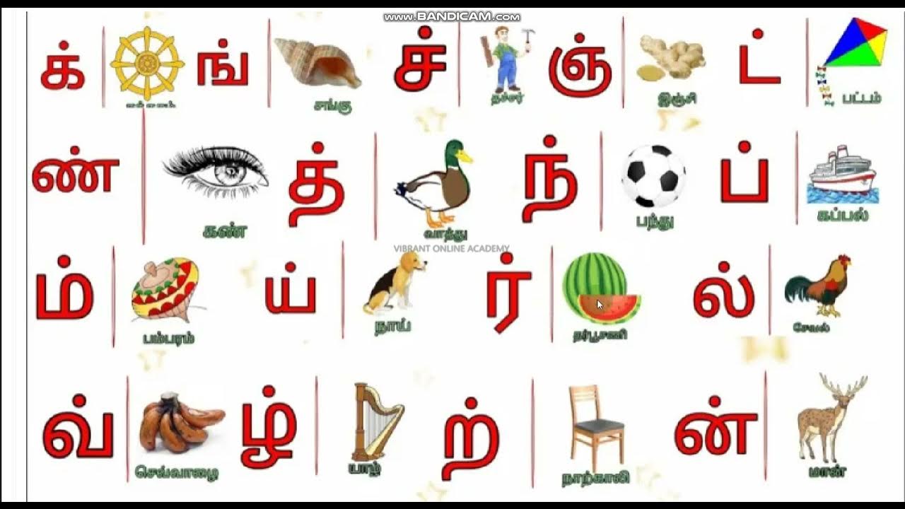 தமிழ் மெய் எழுத்துக்கள் Tamil Mei Eluthukkal TAMIL VIBRANT ONLINE