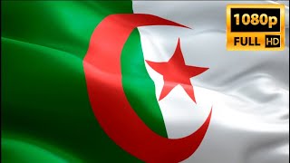 Algeria Flag Closeup 1080P Full Hd 1920X1080 Footage Video Waving In Wind. Algerian Flag Full Hd