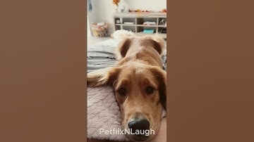 Wait! ✋ Please Don’t Scroll 🙏