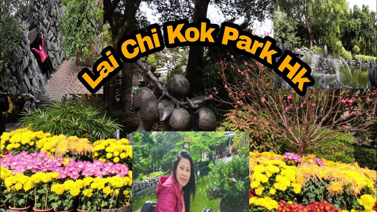 LAI CHI KOK PARK IN MEI FOO HK || HOW TO GET THERE? (part 1) || ANNS MIXED JOURNEY