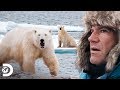 Acorralados por un oso polar hambriento | Expediciones con Steve Backshall | Discovery Latinoamérica