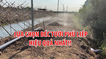 THI CÔNG HỆ THỐNG TƯỚI PHỦ LIẾP, PHỦ TOÀN BỘ DIỆN TÍCH ĐẤT | BÉC VP3 PLUS