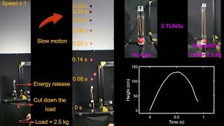 High-Performance Twisted Nylon Actuators for Soft Robots Movie S6 screenshot 4
