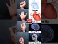 powerful mudra #viralvideo #highbp #lowbp #sharp #mindset #stress #anxiety #powerful #shorts