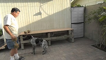 Force Fetch: 4th Stage